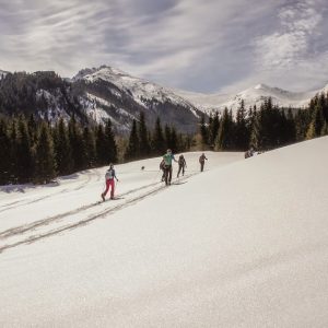 kursy i wycieczki na nartach